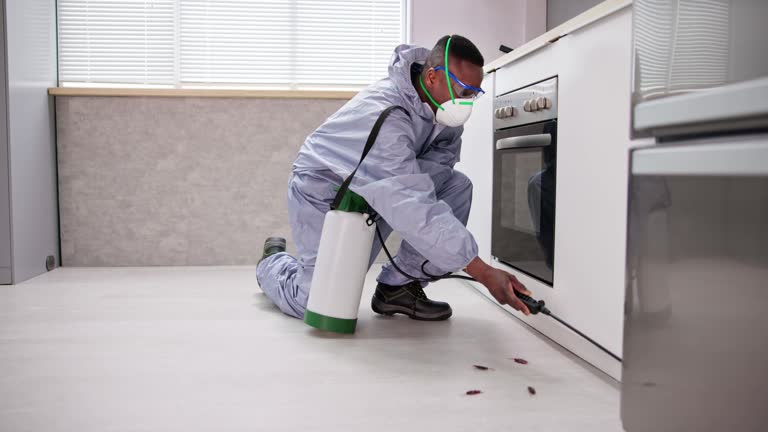 Professional Pest Control in Huntington Station, NY